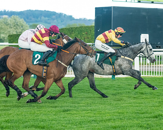 Race 5 - Mares Open  (145 of 329)