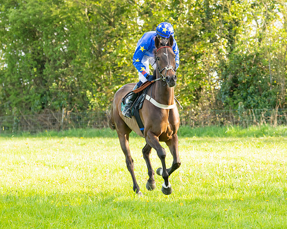Race 7 - Maiden  (19 of 113)