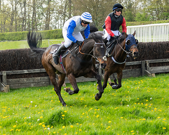 Race 2 - Veteran Horse  (72 of 82)