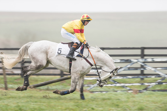 Race 5 - The Intermediate (5 of 59).jpg