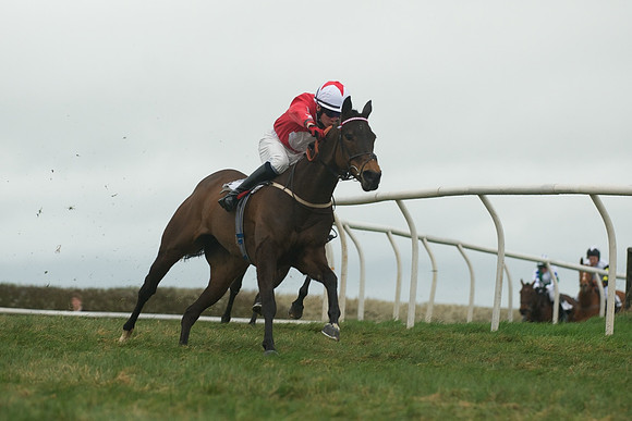 Race 8 - Pony Race 2 -  16