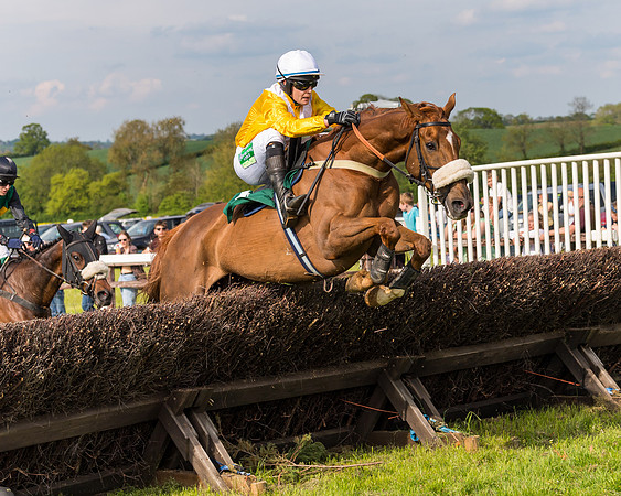 Race 5 - Restricted  (83 of 164)