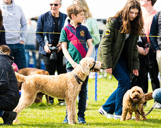 Dog show etc (96 of 157)
