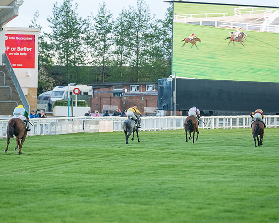 Race 5 - Mares Open  (175 of 329)