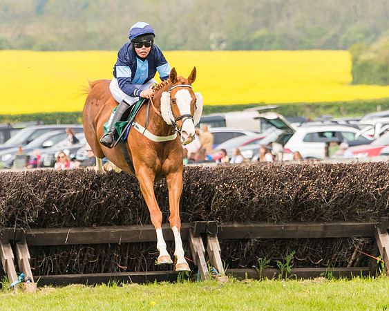 Race 2 - Owner-Trainer Conditions  (72 of 208)