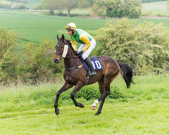 Race 6 - Maiden (2 of 129)