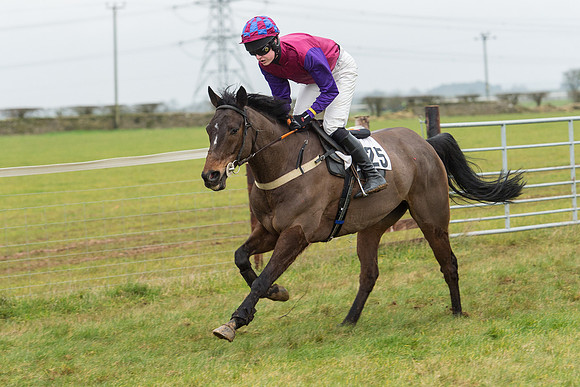 Race 6 - Open Maiden Race Div 1  (10 of 90).jpg