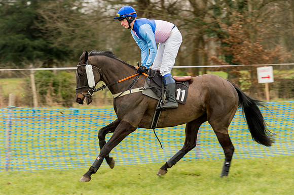 Race 2 - Novice and Veterans   (3 of 101).jpg