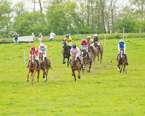 Race 5 - Open Maiden  (5 of 89)