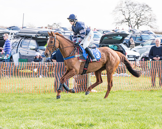 Race 4 - The Warehouse Reit Mixed Open Race  (18 of 124)