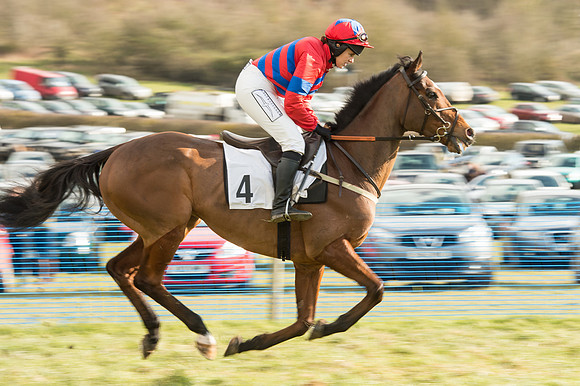 Race 4 - Ladies Open (24 of 100).jpg