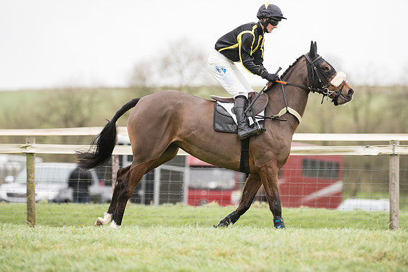 Race 2 - MAres Maiden (1 of 61).jpg