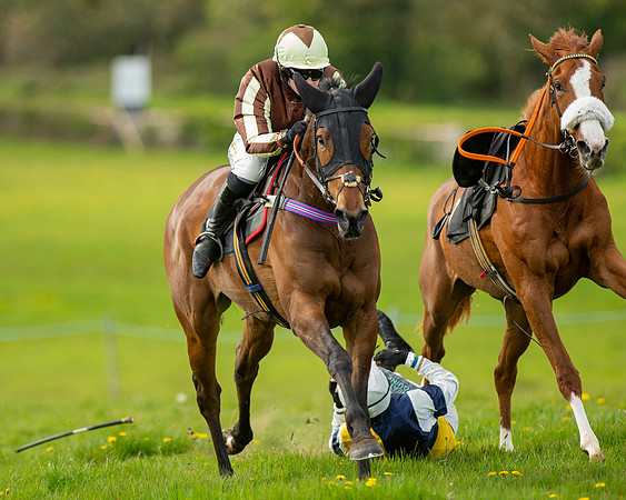 Race 5 - Open Maiden  (58 of 89)