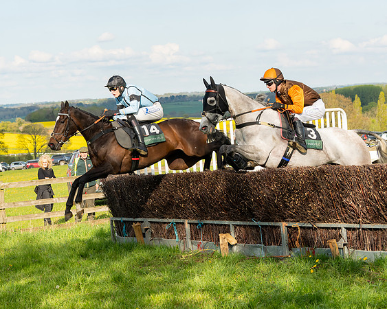 Race 7 - Maiden  (69 of 113)