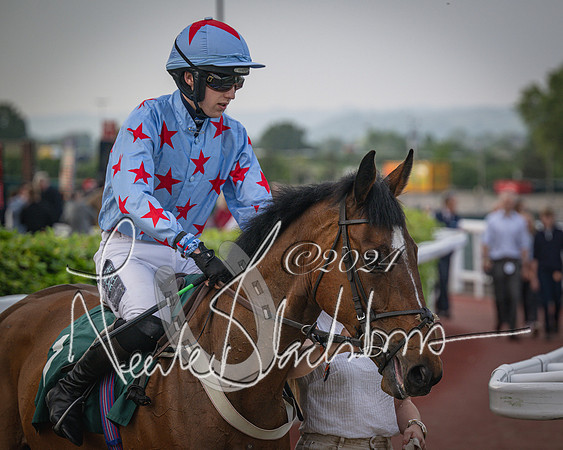 Race 5 - Mares Open Hunter Steeplechase 3m2f 70y (65 of 269)