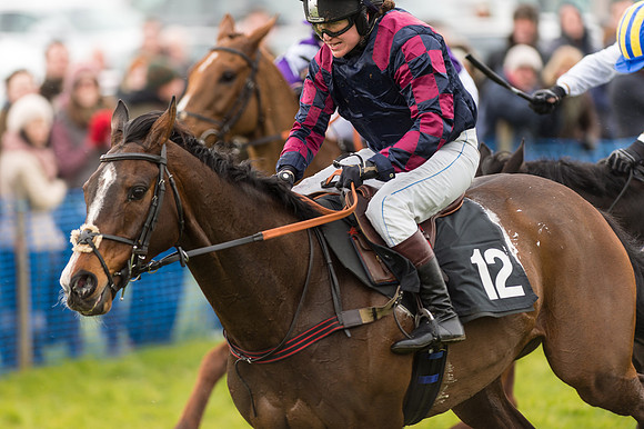 Race 2 - Novice and Veterans   (87 of 101).jpg