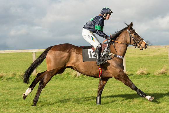 Race 2 - Young Horse Maiden (22 of 110).jpg