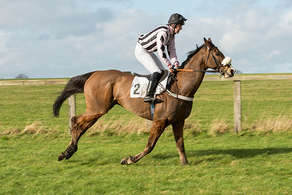 Race 3 - PPORA Members Novice Riders (22 of 84).jpg