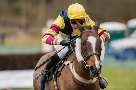 Race 6 - SEHC Members Conditions (40 of 66).jpg