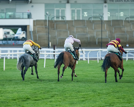 Race 5 - Mares Open  (157 of 329)