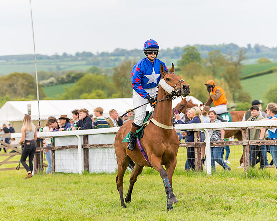 Race 7 - Veteran Horse conditions (68 of 244)