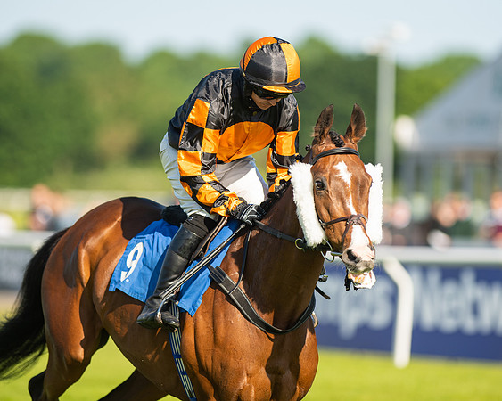 Race 1 - JFF Open Hunter Steeple Chase 2m  (4 of 202)