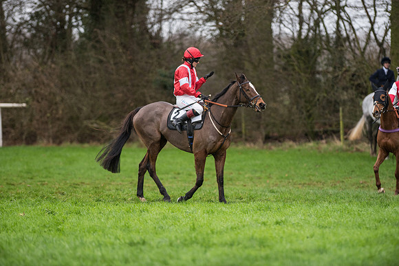 Race 5 - Ladies Open Race (27 of 119).jpg