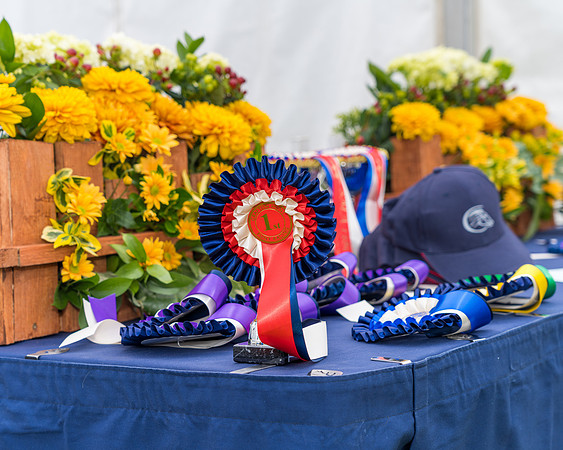 Pony presentations (2 of 41)