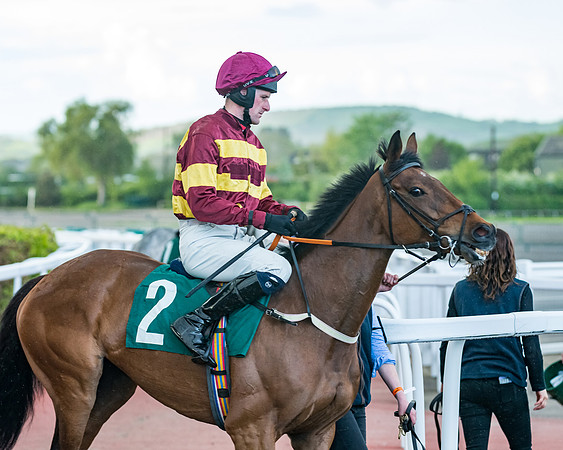 Race 5 - Mares Open  (56 of 329)