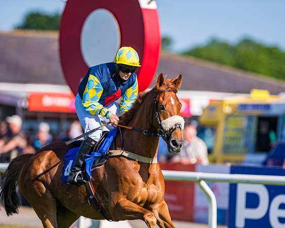 Race 1 - JFF Open Hunter Steeple Chase 2m  (37 of 202)