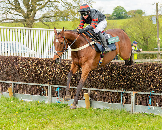 Race 2 - ROR and veteran Horse Conditions race (30 of 77)