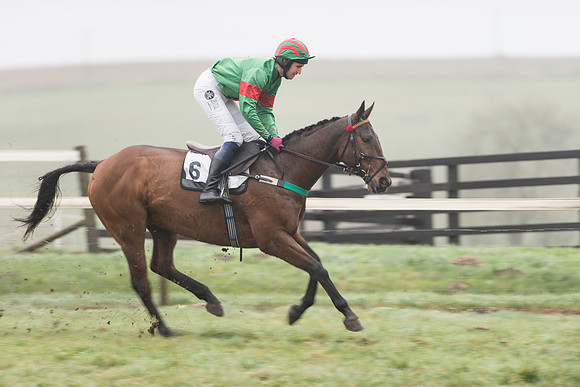 Race 5 - The Intermediate (1 of 59).jpg