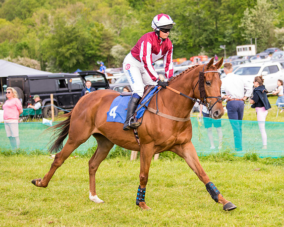 Race 6 - Open Maiden (75 of 346)