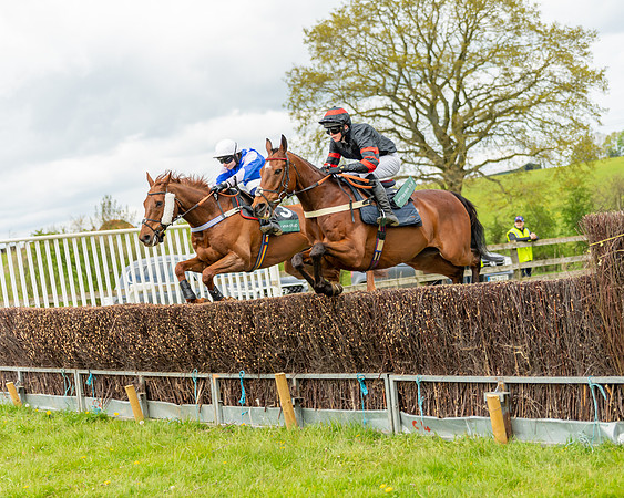 Race 2 - ROR and veteran Horse Conditions race (15 of 77)