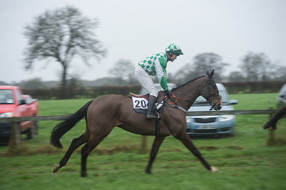 Race 7 - Open Maiden DIvision 2  (29 of 131).jpg