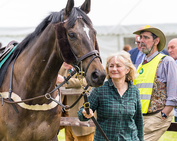 Race 2 - Owner-Trainer Conditions  (13 of 208)