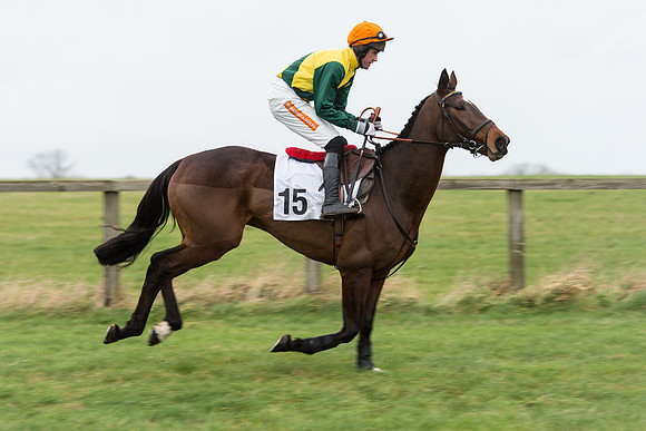Race 7 - Open Maiden (47 of 131).jpg