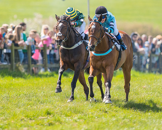 Pony Race 3 (22 of 38).jpg