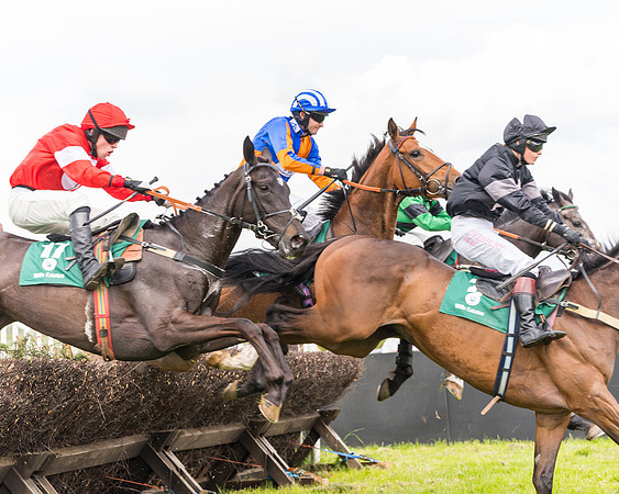 Race 6 = Maiden (84 of 187)