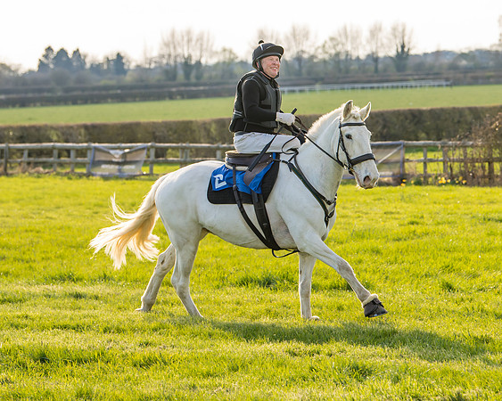 Side Saddle dash  (112 of 170)