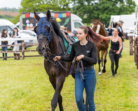Race 7 - Veteran Horse conditions (8 of 244)