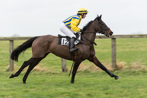 Race 7 - Open Maiden (58 of 131).jpg