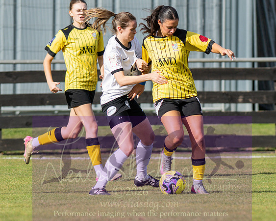 Royston Town 3 v 2 Chesham United (91 of 496)