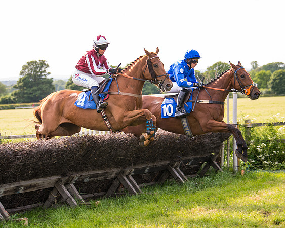 Race 6 - Open Maiden (147 of 346)