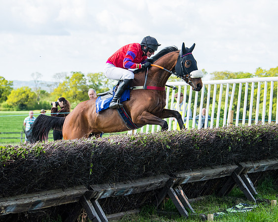 Race 5 - 2m5f Maiden (40 of 144)