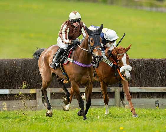 Race 5 - Open Maiden  (43 of 89)