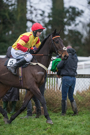 Race 8 - Young Horse Maiden  (12 of 85).jpg