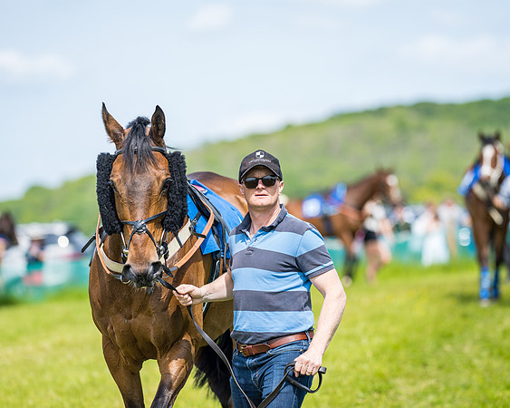 Race 2 - PPORA Novice Riders (74 of 444)