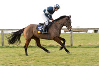 Race 6 Div 2 - Open Maiden  (16 of 131).jpg
