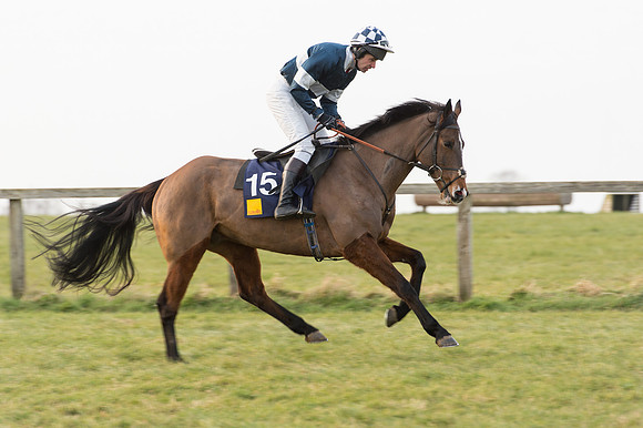 Race 6 Div 2 - Open Maiden  (16 of 131).jpg